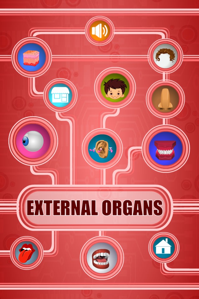 Human Body - External Organs screenshot 2