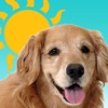 Sundoggy