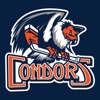 Bakersfield Condors