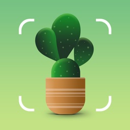 NatureID:Identificador plantas ícone