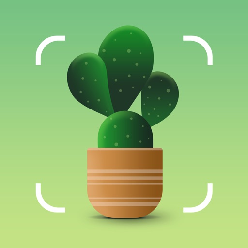 NatureID:Identificador plantas