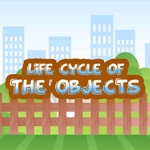 Life Cycle Of The Objects