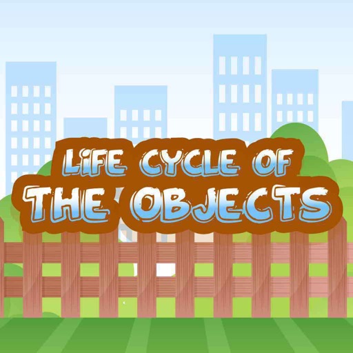 Life Cycle Of The Objects