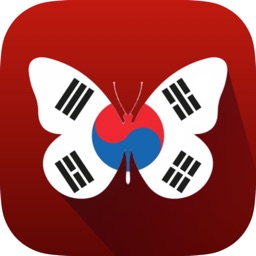 Korean Beauty Iq