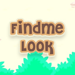 FindMe Look