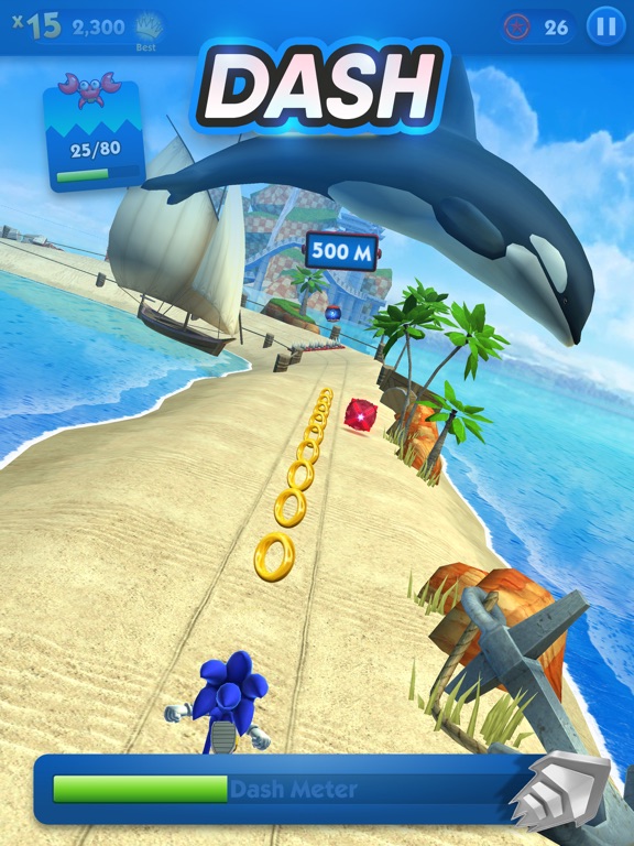 Sonic Dash Endless Runner Game screenshot 3