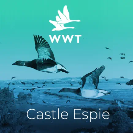 Castle Espie AR Читы