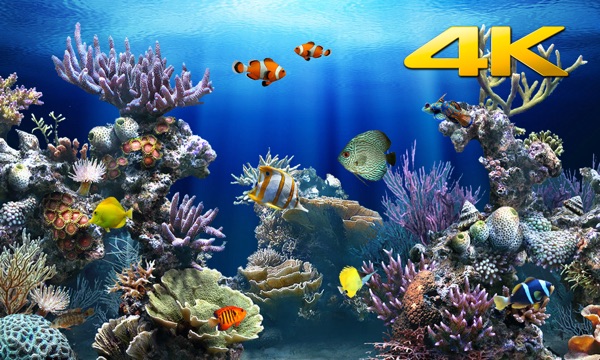 aquarium 4k mac