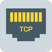 ELX TCP Client