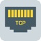 Icon ELX TCP Client