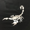Scorpions Baseball Academy