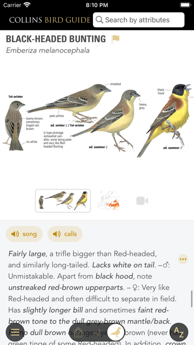 CollinsBirdGuide