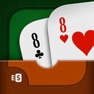 Get Crazy Eights + for iOS, iPhone, iPad Aso Report