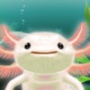 Axolotl Pet