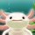 Axolotl Pet
