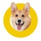 Dogito is a comprehensive service designed for dog owners, which includes an interactive map of dog-friendly locations, a community of fellow dog owners, and access to experts such as veterinarians and dog handlers