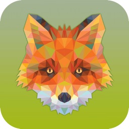 Jungle Fox!