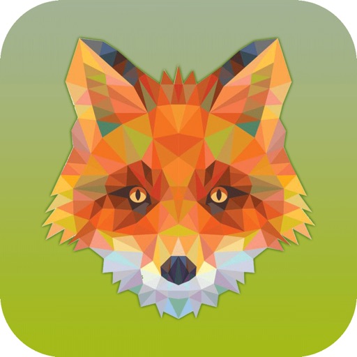 Jungle Fox!