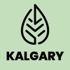 Jabones Naturales Kalgary