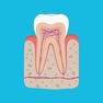 Get Dental Assistant Quizzes for iOS, iPhone, iPad Aso Report