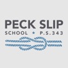 PS343 The Peck Slip School