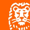 ING Sector Insights