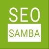 Social Marketing SeoSamba