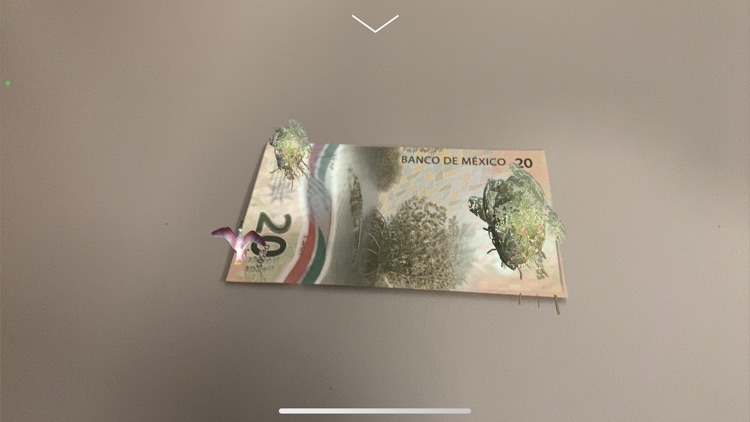BilletesMx screenshot-6