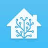 Icon Home Assistant