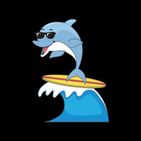 Surfs Up Shuttle - Driver