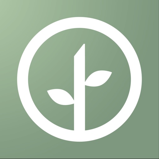 Modern Sprout by Modern Sprout LLC