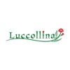 Luccollina（ルッコリーナ）