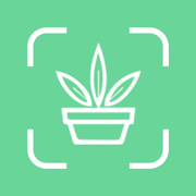 植物识别-细致拍照识物花鸟鱼虫