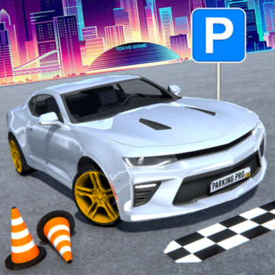 Real Car Parking Sim Games 3D