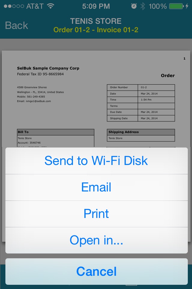 Invoice SelBuk iPhone screenshot 3
