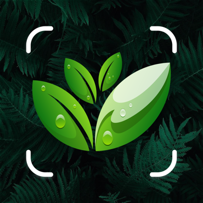 Identify trees & Plant care