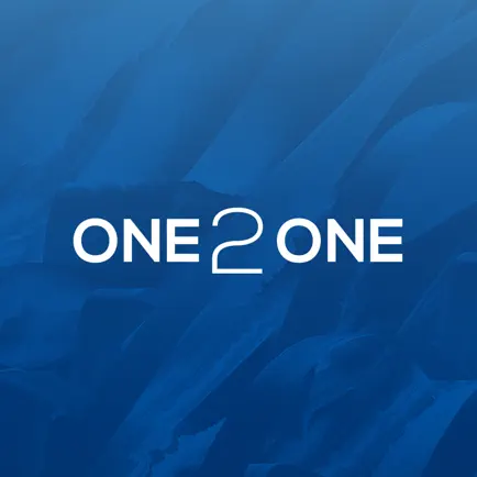 ONE 2 ONE Discipleship Читы