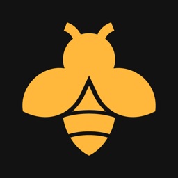Model Bees