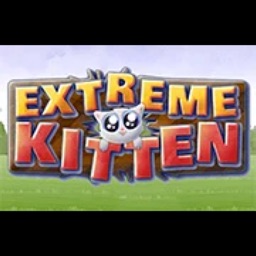 Extreme Kitten - game