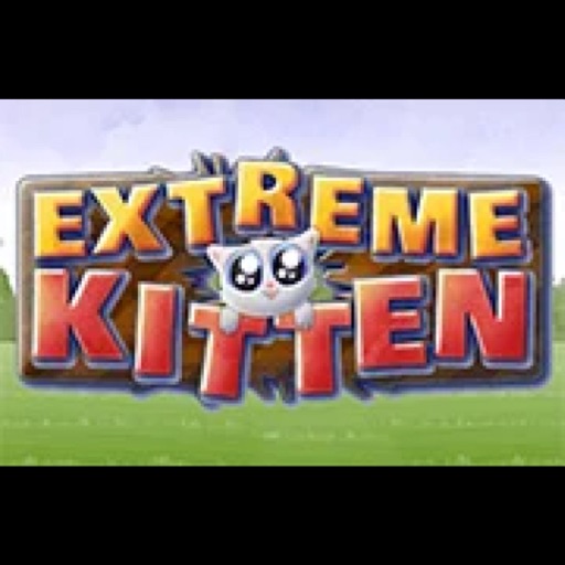 Extreme Kitten - game