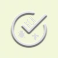 Backyard Scavenger Hunt