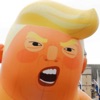 Orange Genius