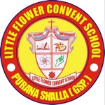Little Flower Con PuranaShalla
