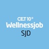 Wellnessjob SJD