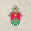 Diocese of Wheeling-Charleston