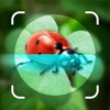 Bug Identifier - Insect - iPadアプリ