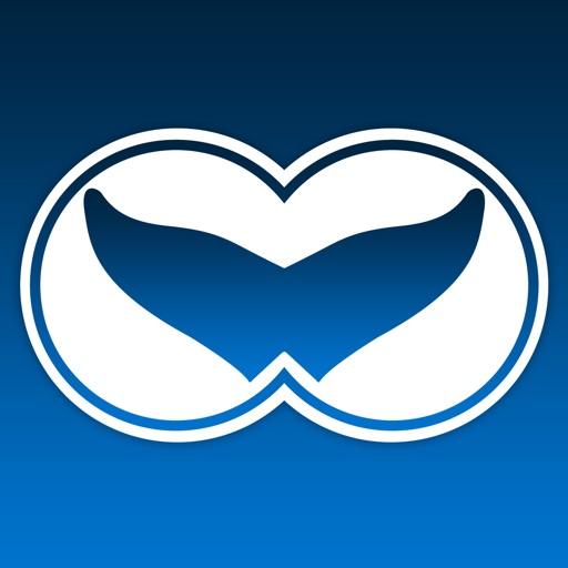 WhaleReport Download