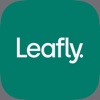 Icon Leafly: Find weed, order weed