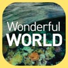 Wonderful WORLD