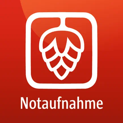 Notaufnahme-App Читы